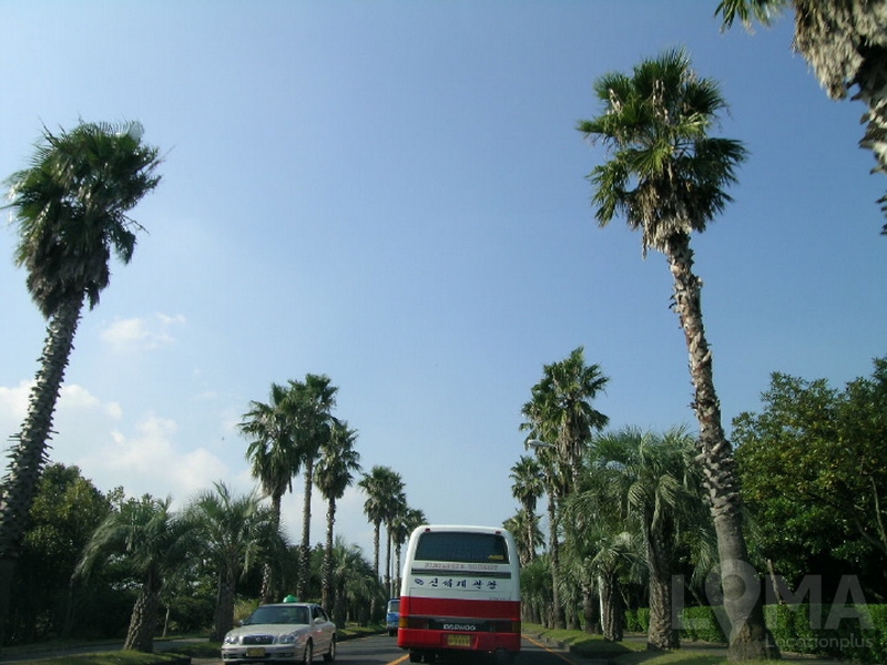 1.50572409789E.jpg