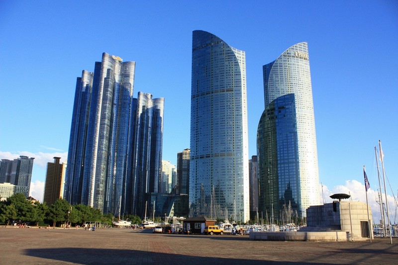 1452062903.jpg