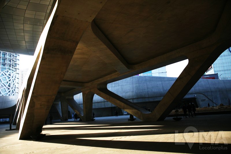 1487559615_MA0009_0004.JPG