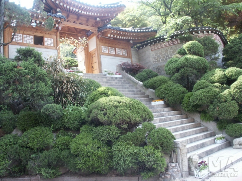 1490673036_14.JPG