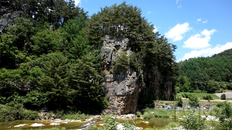 1496634876_51.JPG