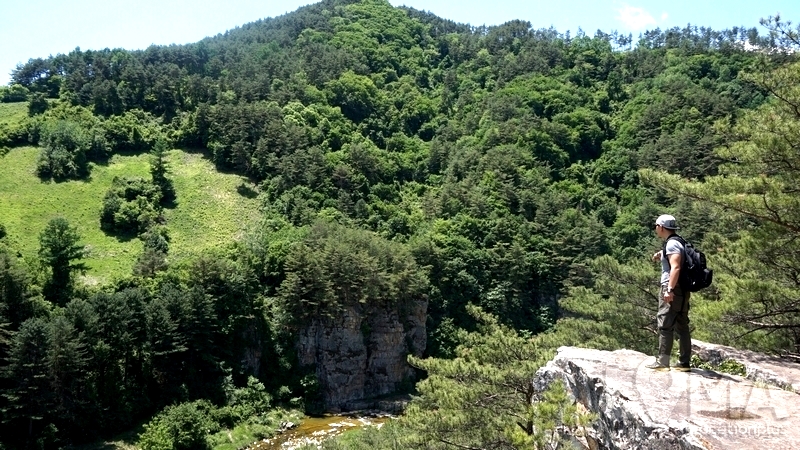 1496635233_47.JPG