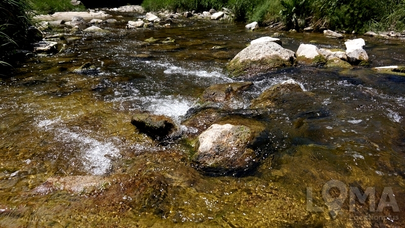 1496635700_53.JPG