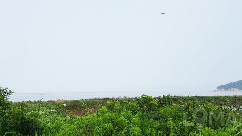 1500617590_35.jpg