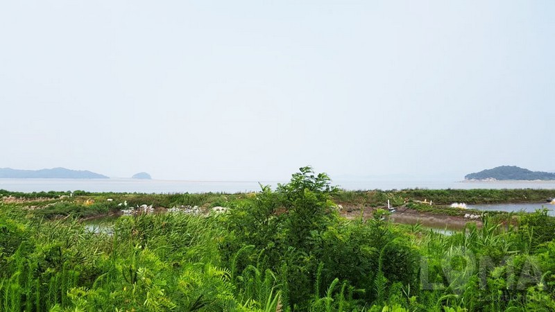 1500617670_39.jpg