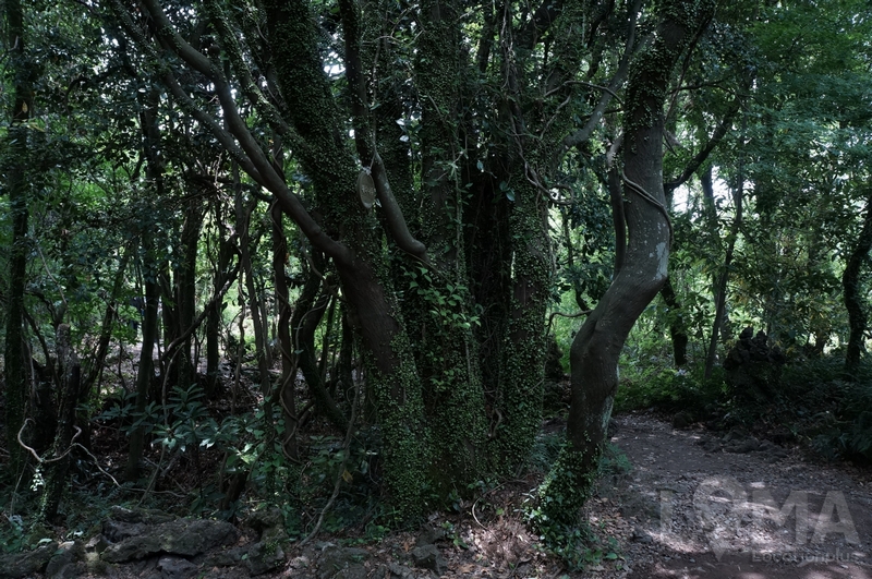 1505724464_20.jpg