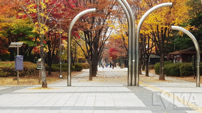 1510299986_10.jpg