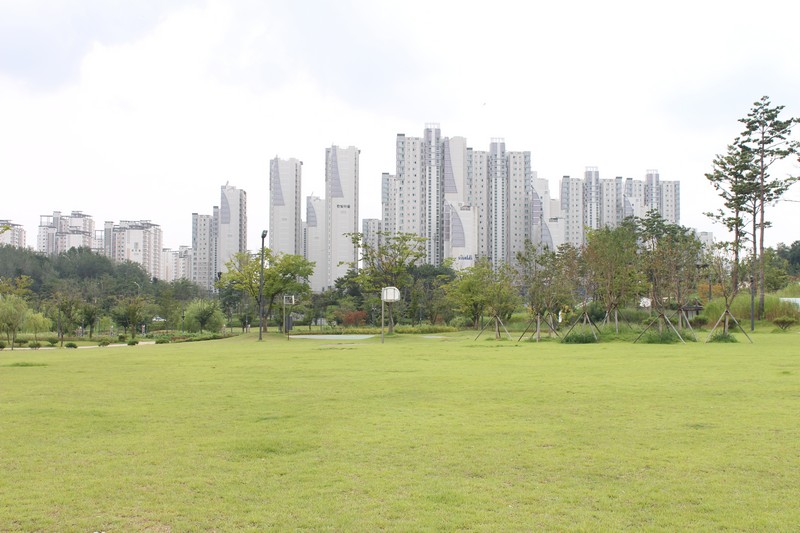 CA0011_0184.JPG