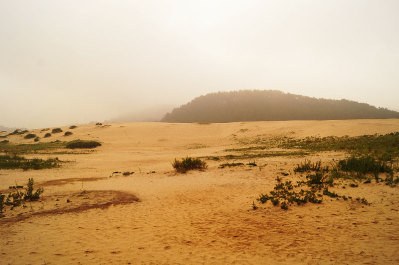 HAB0023_0590.JPG